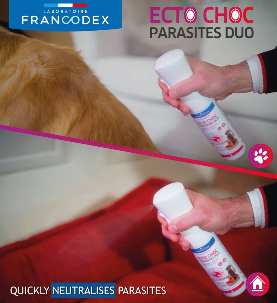 Francodex EctoChoc vaahto kissoille ja koirille 200ml (kopio)