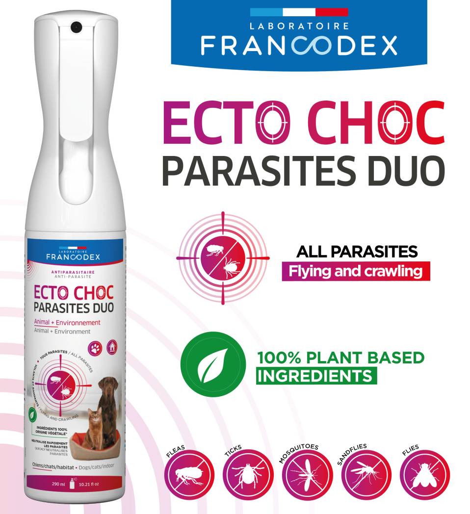 Francodex EctoChoc vaahto kissoille ja koirille 200ml (kopio)