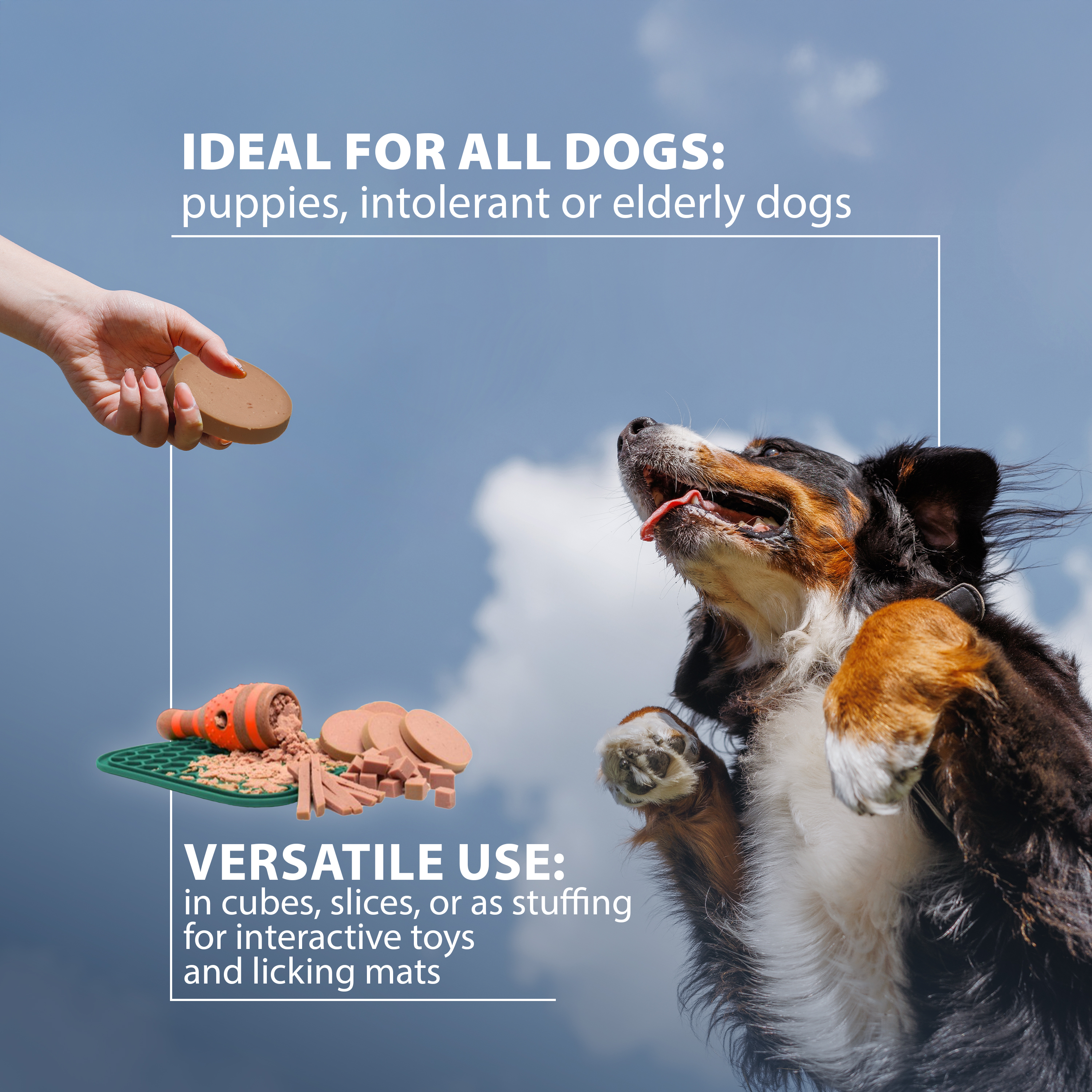 Ferplast treenimakkara TURKEY 200g