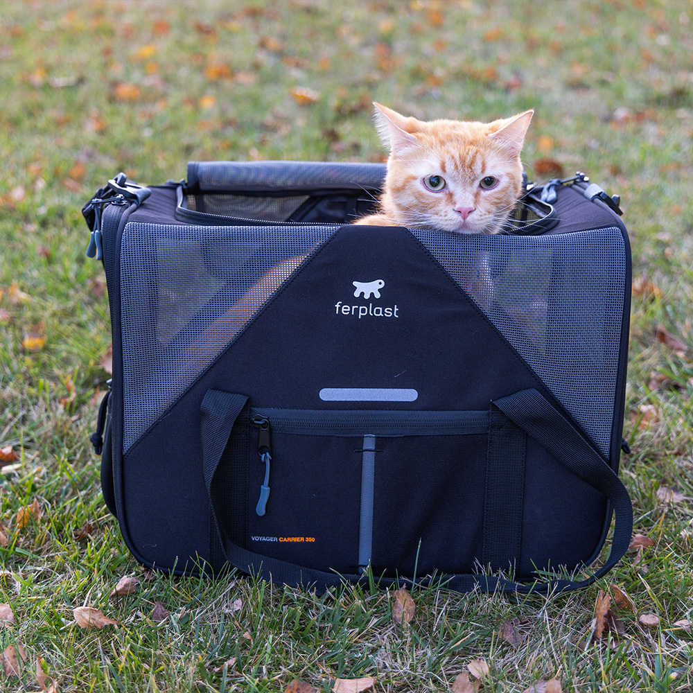 Ferplast Voyager Carrier 350, musta