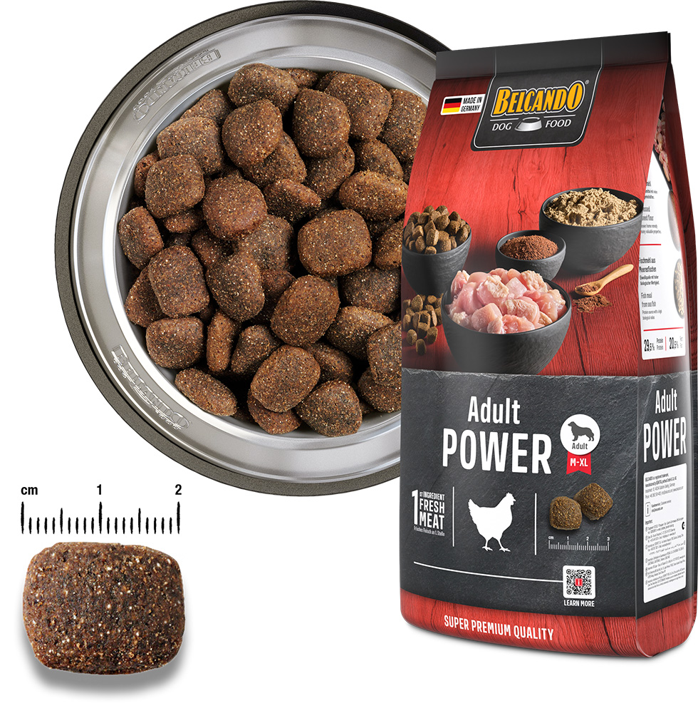 Belcando Adult Power 12,5kg
