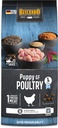 Belcando Puppy GF Poultry 1kg