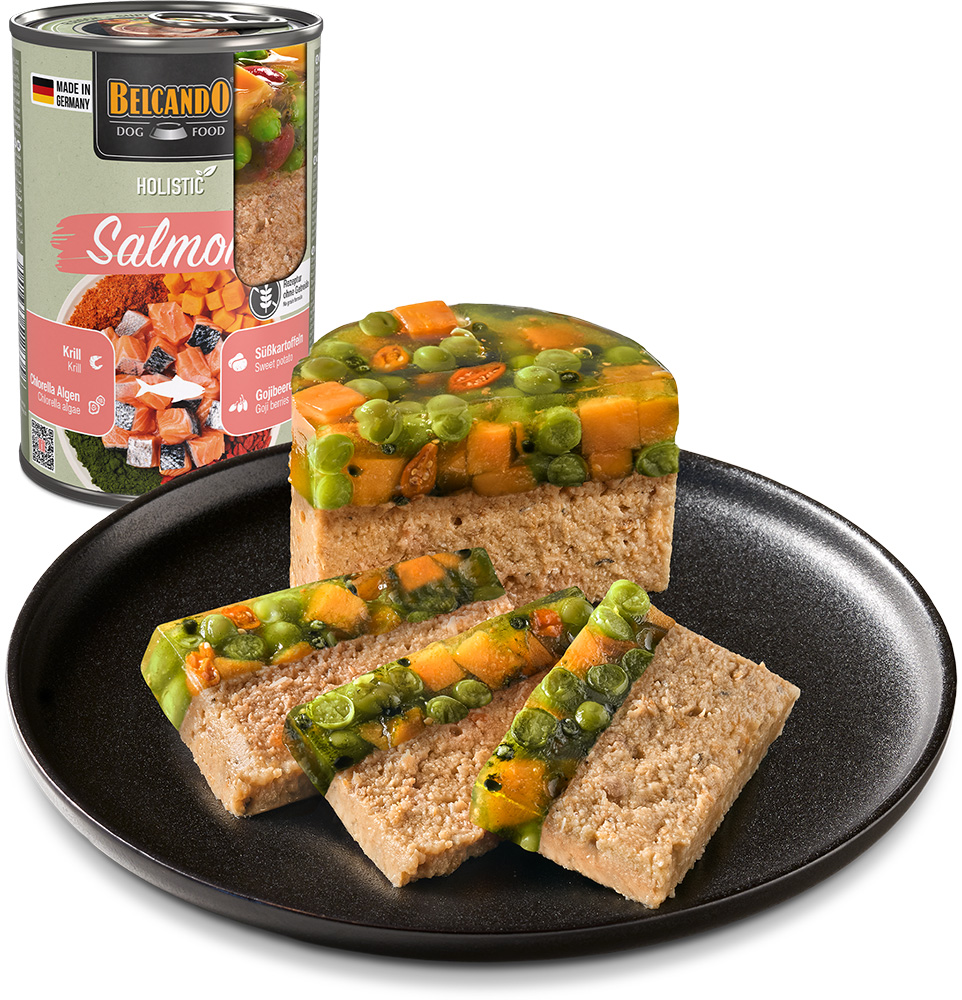 Belcando Holistic SALMON 6x400g säilyke