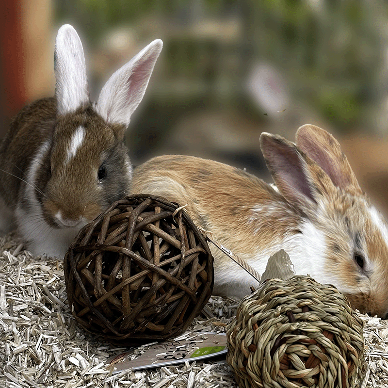 Zolux Ehop rattan ball