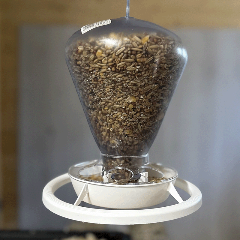 Zolux Bird Feeder