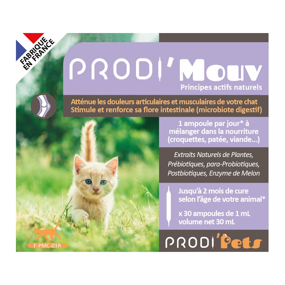 Prodi'Mouv Cat