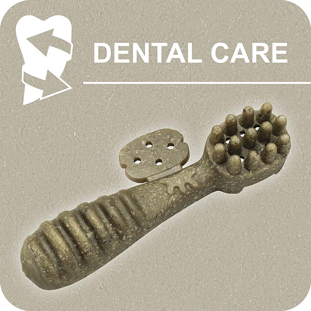 Ferplast Toothbrush S Ascophillum 4pcs
