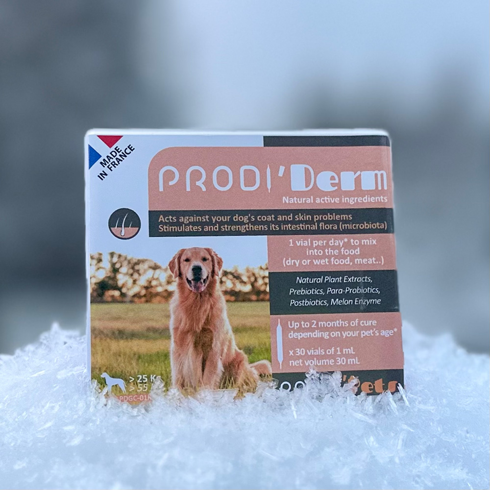 Prodi'Derm large Dog