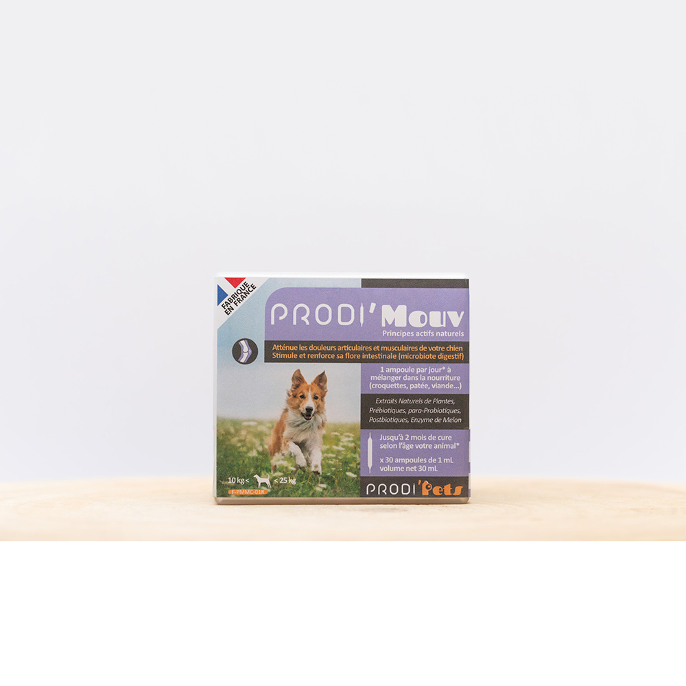 Prodi'Mouv medium Dog