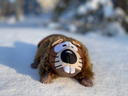 Zolux Friends "Hector the Beaver"