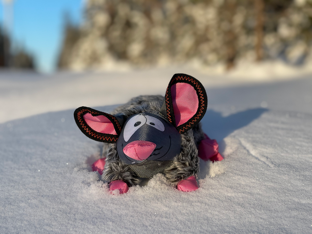 Zolux Friends "Gilda the rat"