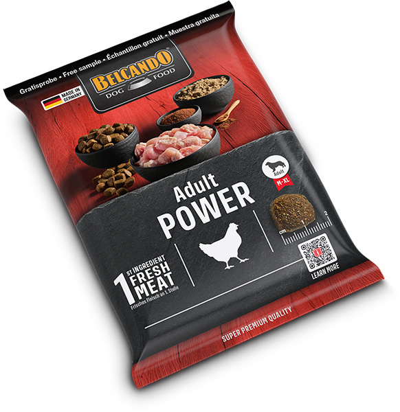 Belcando Näyte Adult Power*10kpl