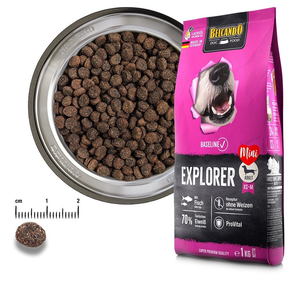 Baseline Explorer GF 12,5kg