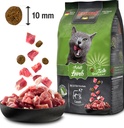 Leonardo Adult LAMB 300g