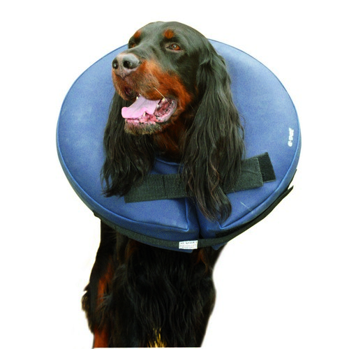 e-power air collar 1