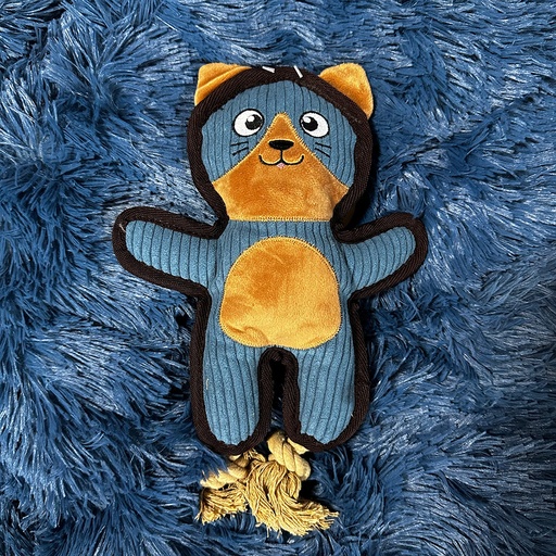 Zolux Buddy kissa