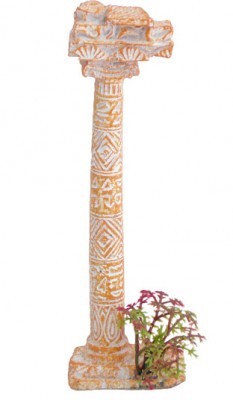 [855150] Zolux Decor Nano antics 1