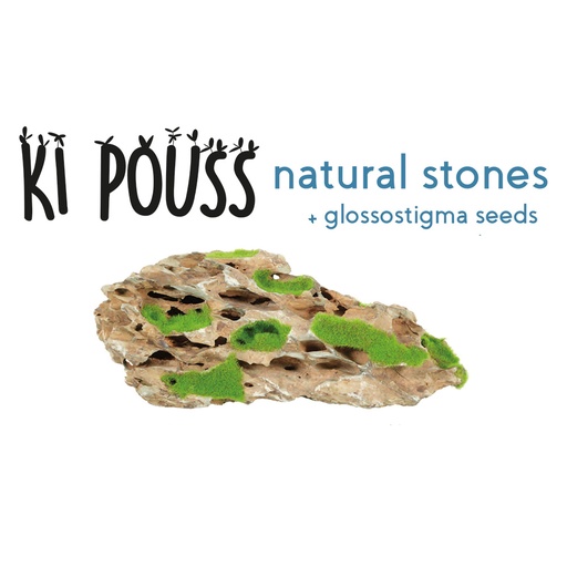 [356070] Zolux KiPouss yellow stone S