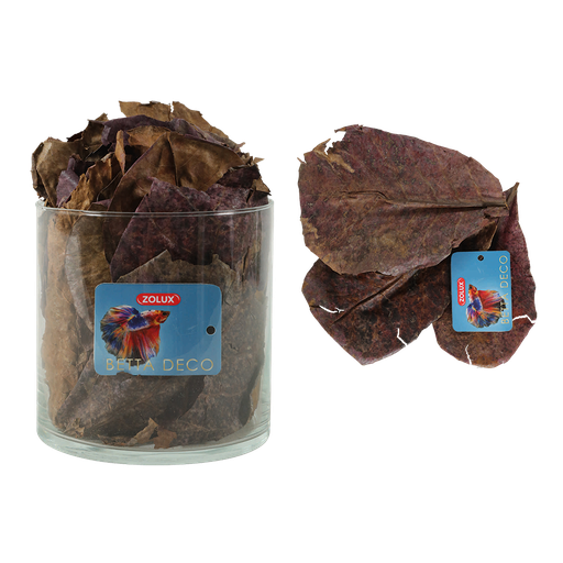 [356076] Zolux Aqua Catappa Leaves*14kpl
