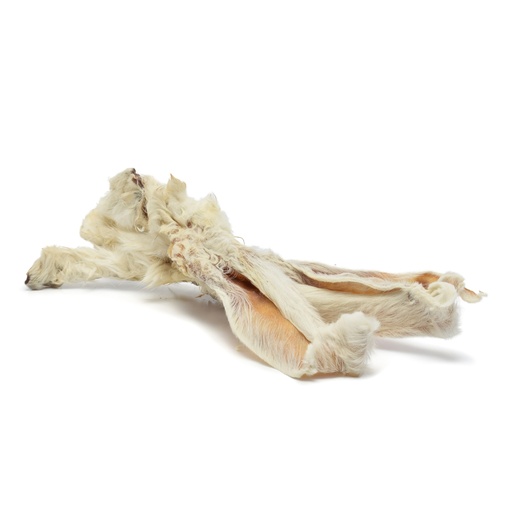 [89870040] Ferplast Rabbit Ears 3st
