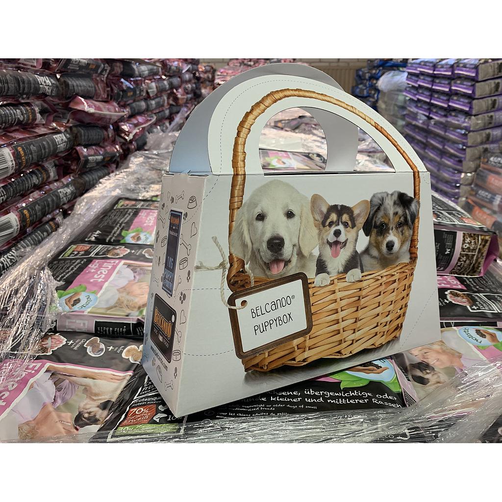 Belcando Puppy Box