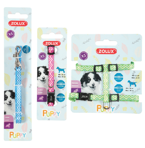Zolux Puppy XS Pixie panta 8mm