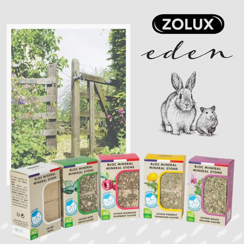 Zolux Eden mineraalikivi Rasberry 2*200g