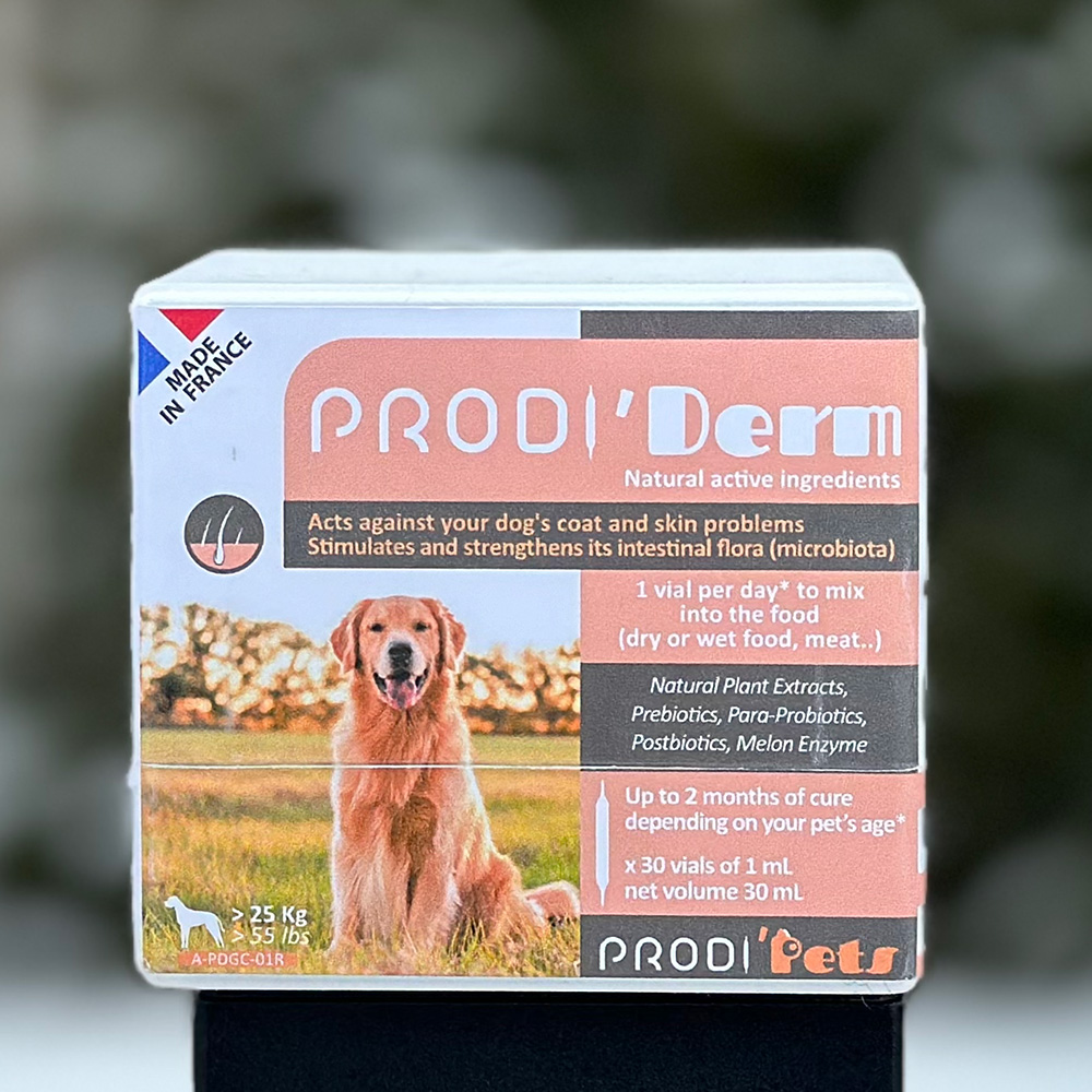 Prodi'Derm large Dog