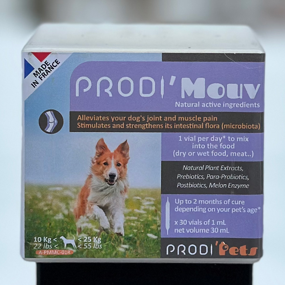 Prodi'Mouv medium Dog