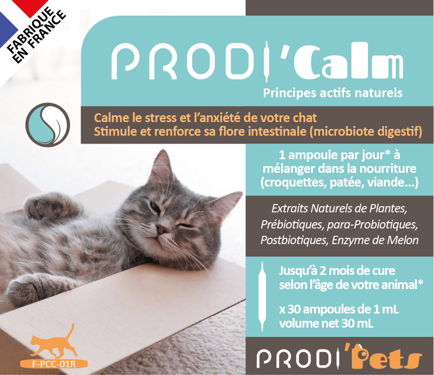 Prodi'Calm Cat