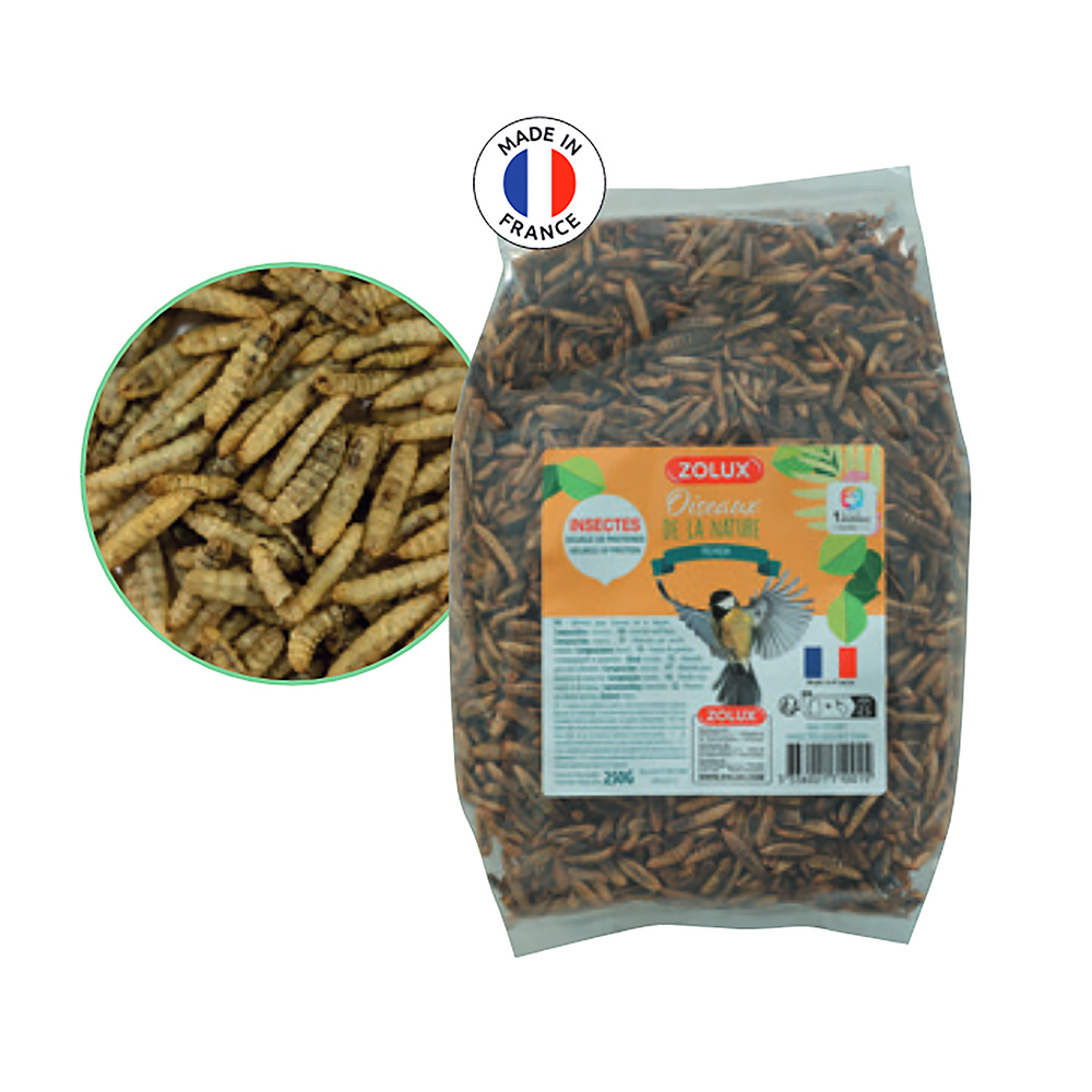Zolux Wild Bird kuivatut kärpäsentoukat 250g