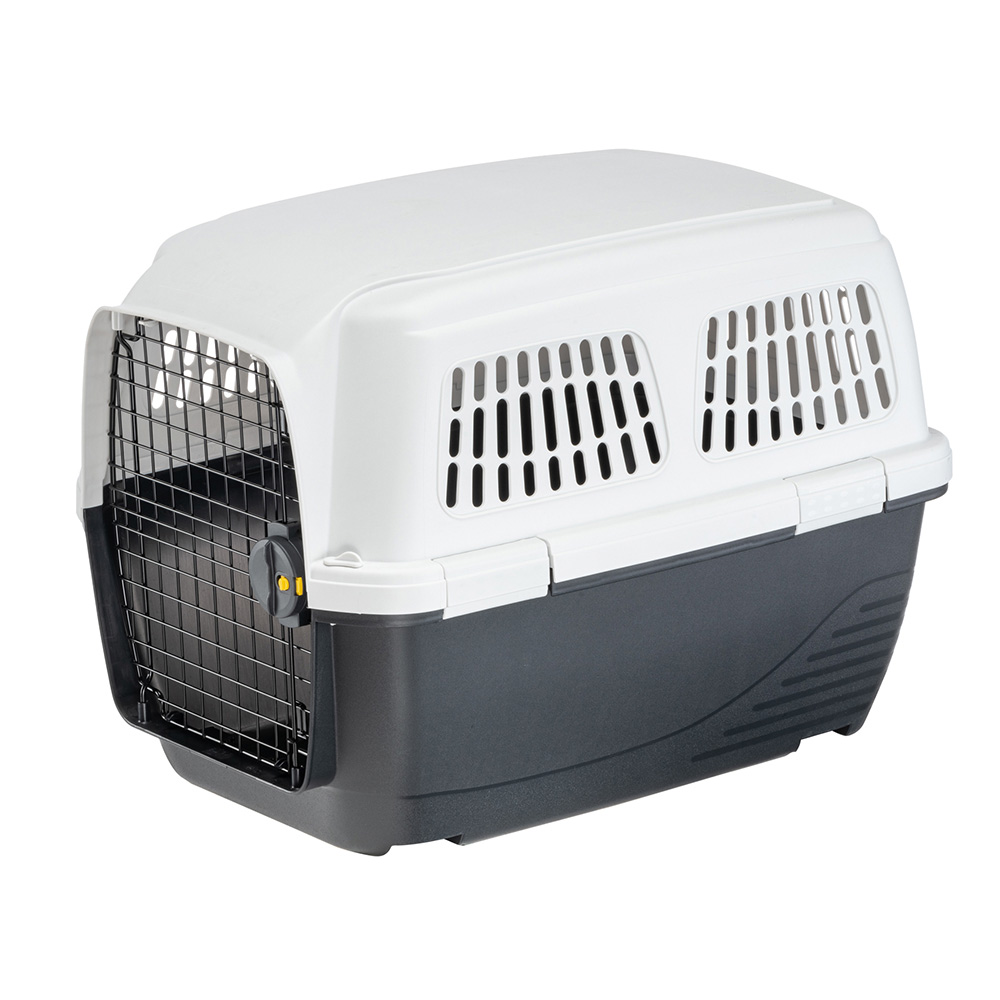 Ennakkotilaus Clipper 4