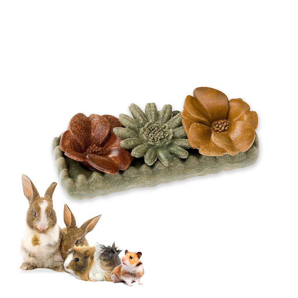 Ennakkotilaus Ferplast VB Flowers