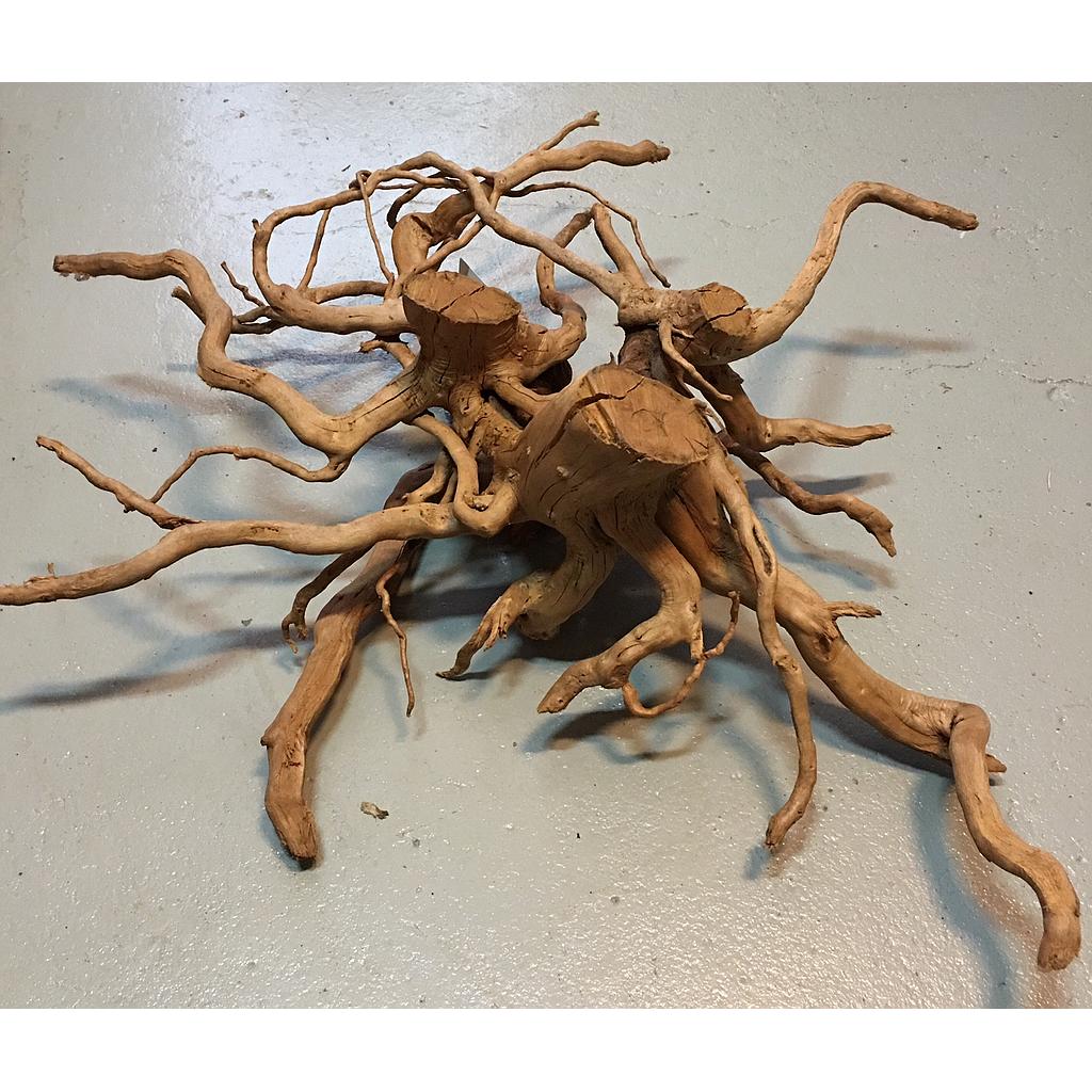 HS Aqua Spiderwood S