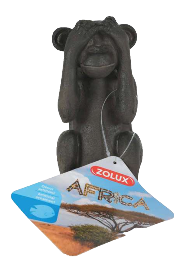 Zolux Africa monkey see 