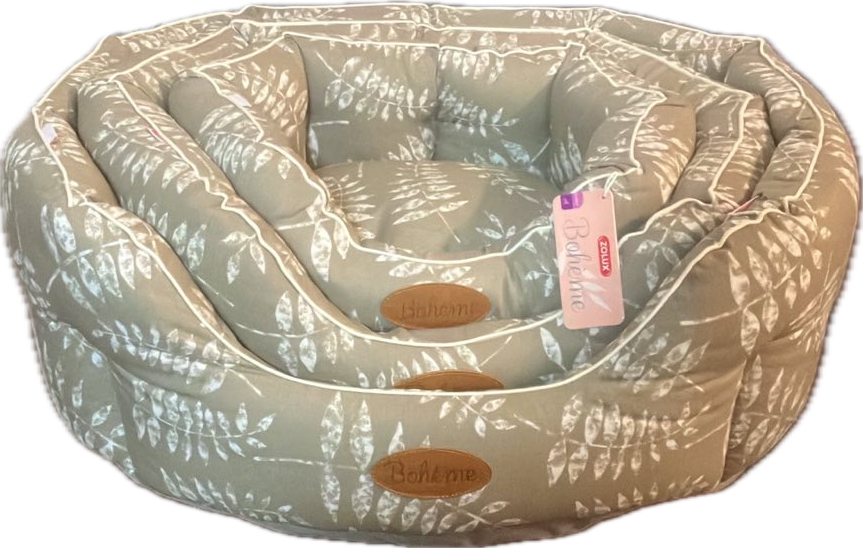 Zolux Boheme petisetti, beige