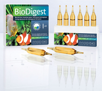 Prodibio BioDigest 12