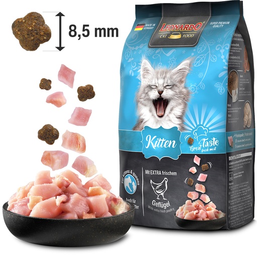 [753005] Leonardo KITTEN 300g