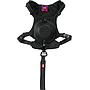 Zolux Easyride S